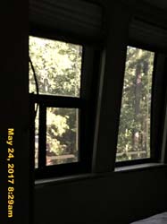 IMG_1151