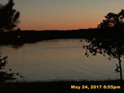 IMG_1161