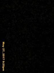 IMG_1225