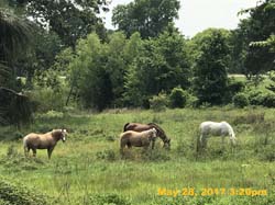 IMG_1246