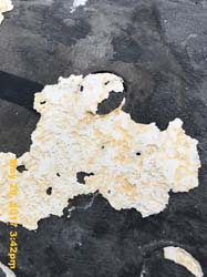 IMG_1247