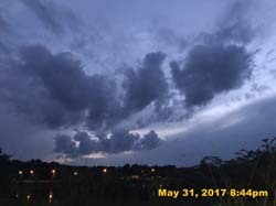 IMG_1324