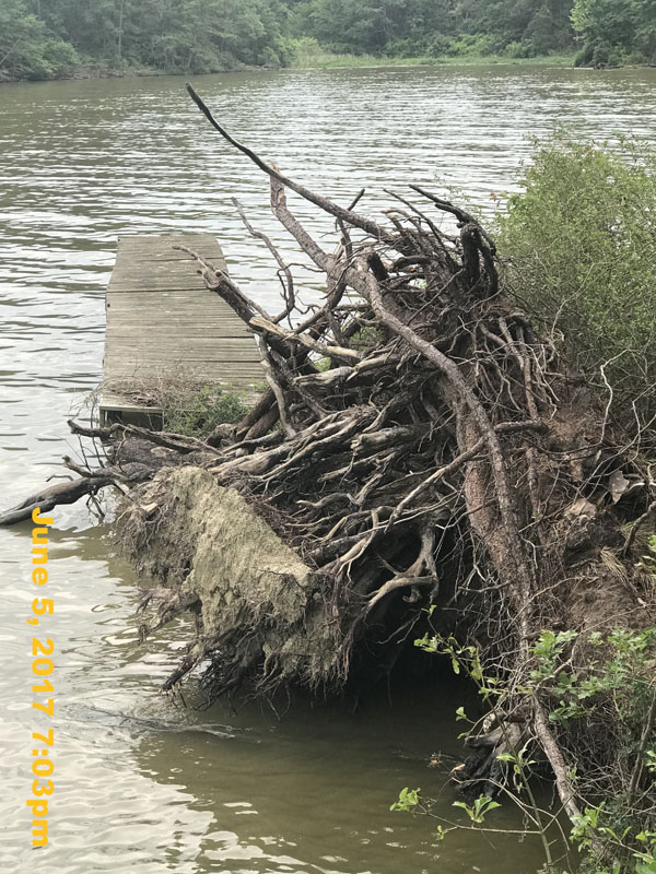 IMG_1490