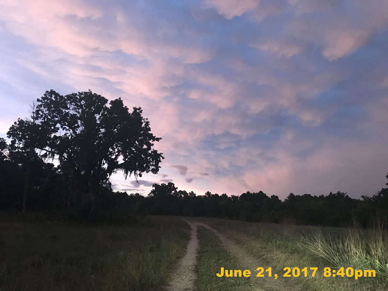 IMG_2254