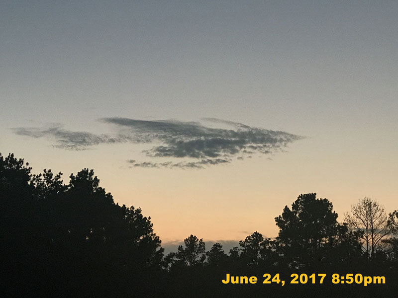 IMG_2427