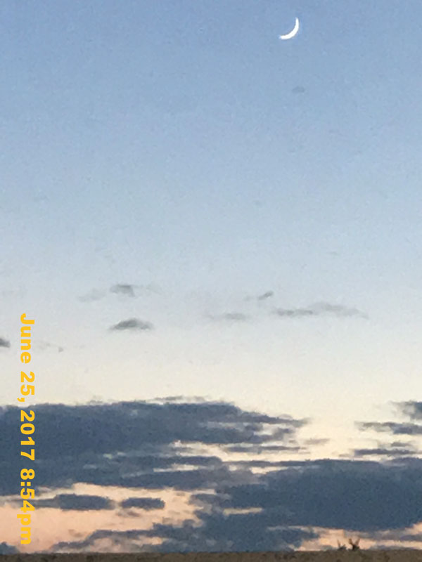 IMG_2457