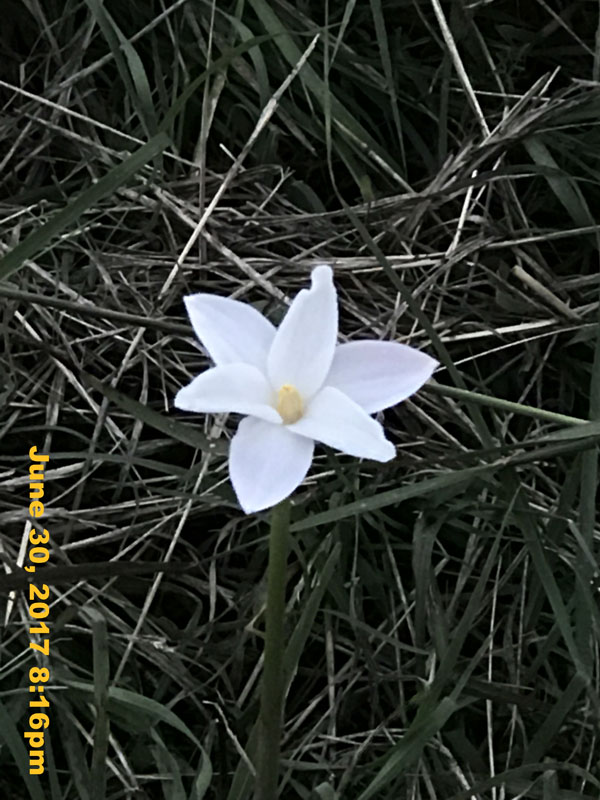 IMG_2681