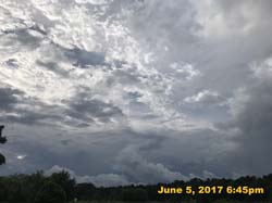 IMG_1485