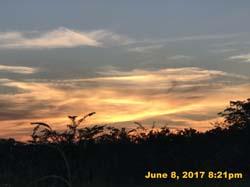 IMG_1628