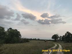 IMG_1648