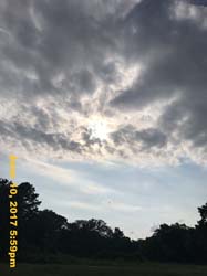 IMG_1689