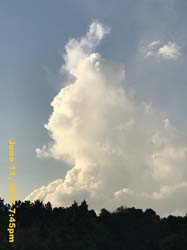 IMG_1769