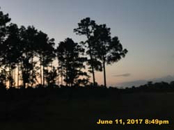 IMG_1779