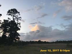 IMG_1810
