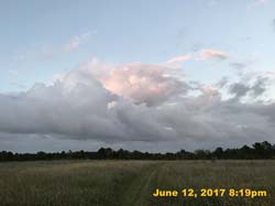 IMG_1817