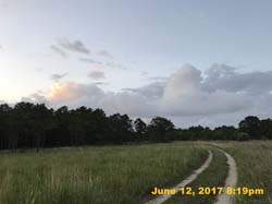 IMG_1818