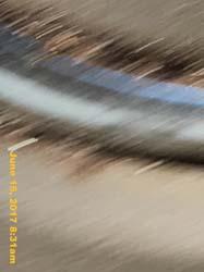 IMG_1925