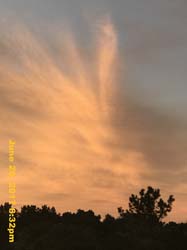 IMG_2170