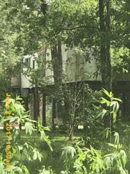 IMG_2212