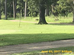 IMG_2346