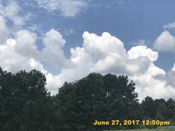 IMG_2524