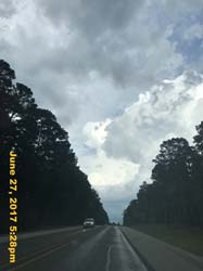 IMG_2528