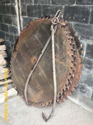 IMG_2537