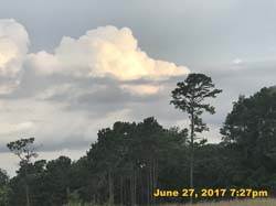 IMG_2568