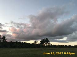 IMG_2613