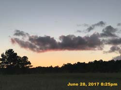IMG_2616