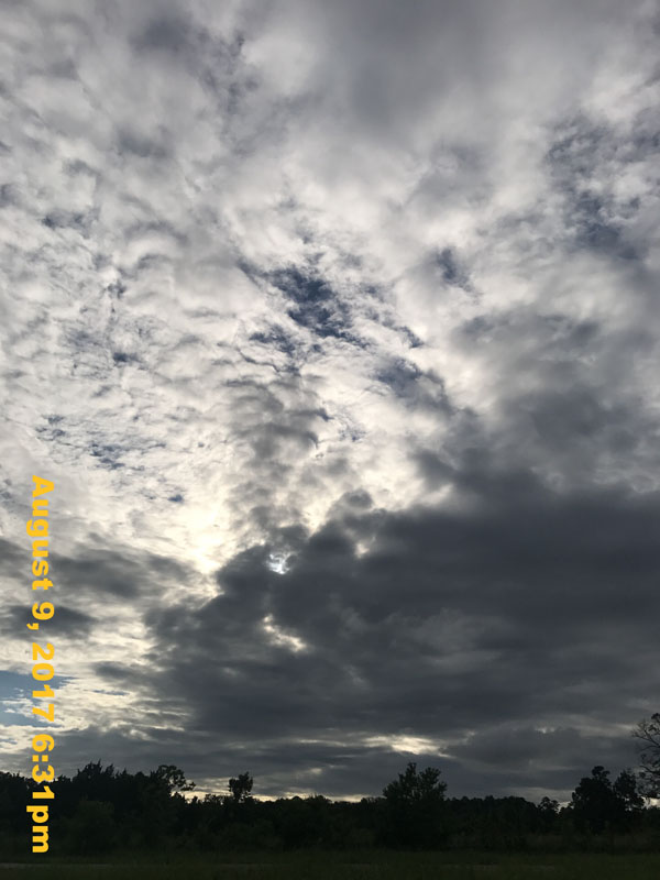 IMG_4908
