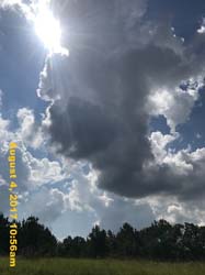 IMG_4675