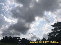 IMG_4955