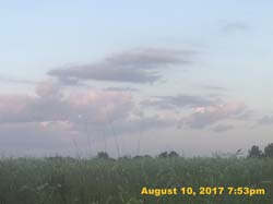 IMG_4986