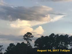 IMG_5239