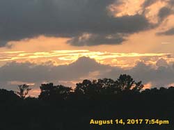 IMG_5253