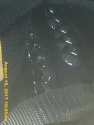 IMG_5333
