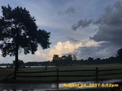 IMG_5592