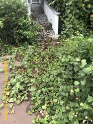 IMG_5891