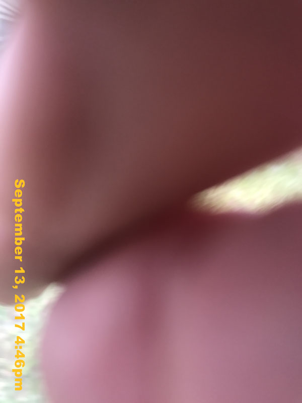 IMG_6452