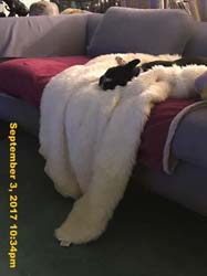IMG_6054