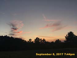 IMG_6193