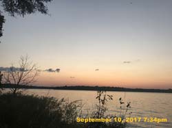 IMG_6266