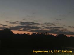 IMG_6277