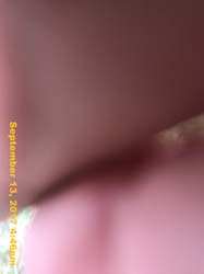 IMG_6405