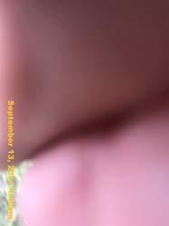 IMG_6422