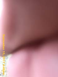 IMG_6444