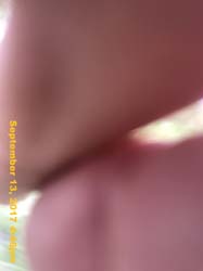 IMG_6453