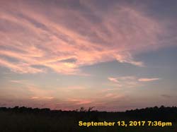 IMG_6484