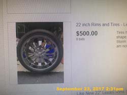 IMG_6917